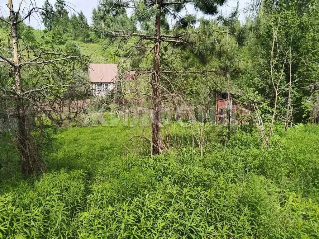 Участок в Брянск, СТ Рассвет-2 (8 м) - Фото 0