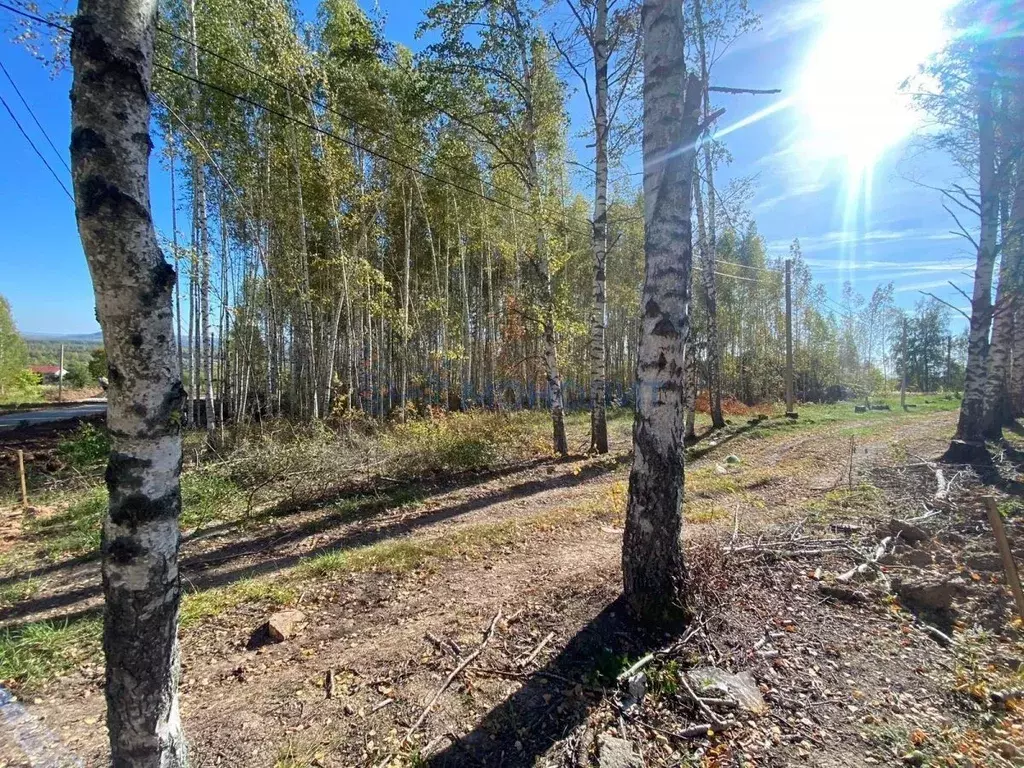 Участок в Нижегородская область, Кстовский муниципальный округ, д. ... - Фото 0