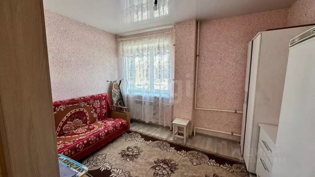 Студия Алтай, Майминский район, с. Майма ул. Д. Климкина (17.0 м) - Фото 0