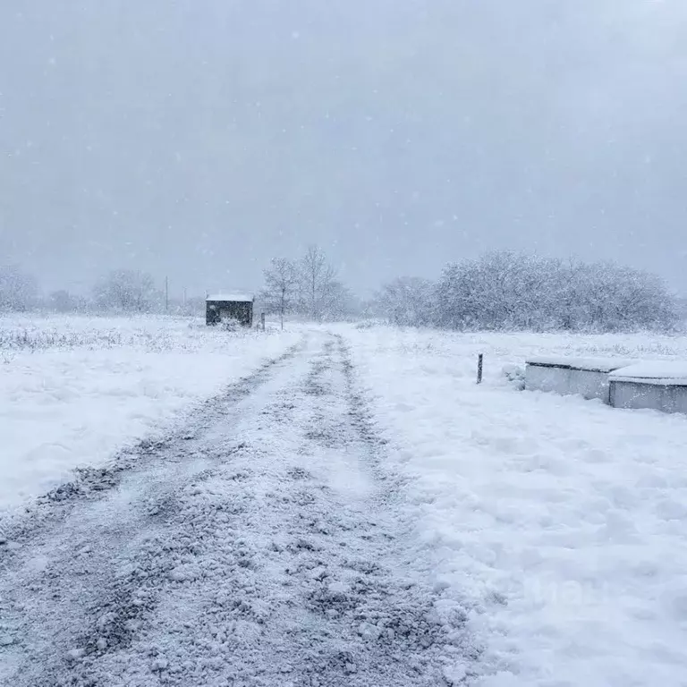 Участок в Сахалинская область, Анивский городской округ, с. ... - Фото 1