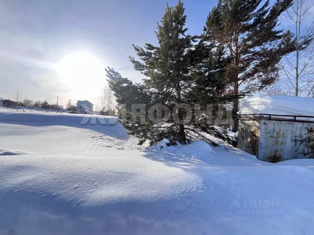 Участок в Новосибирская область, Новосибирский район, Барышевский ... - Фото 2