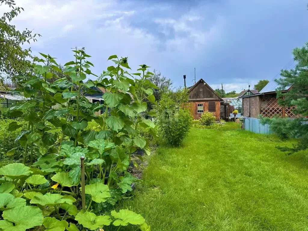 Дом в Чебаркуль, СНТ Учительский (20 м) - Фото 1