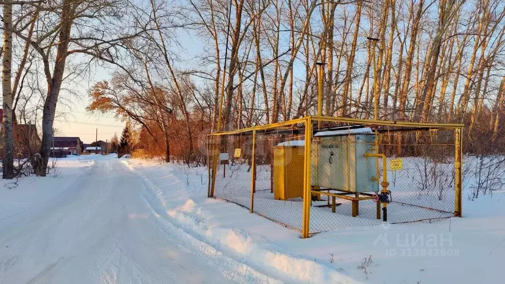 Участок в Омская область, Омский район, с. Усть-Заостровка, Иртышские ... - Фото 1