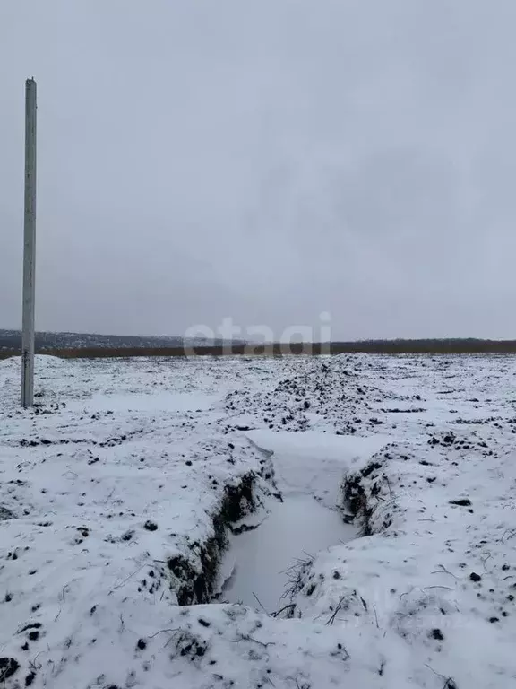 Участок в Белгородская область, Белгородский район, Головинское с/пос, ... - Фото 2