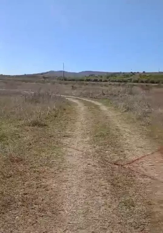 Участок в Крым, Симферопольский район, с. Доброе ул. Яблоневая (6.0 ... - Фото 2