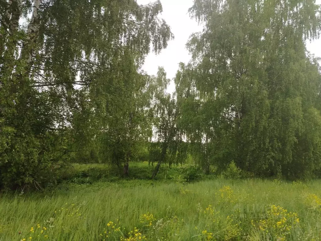 Участок в Нижегородская область, Богородский муниципальный округ, ... - Фото 1