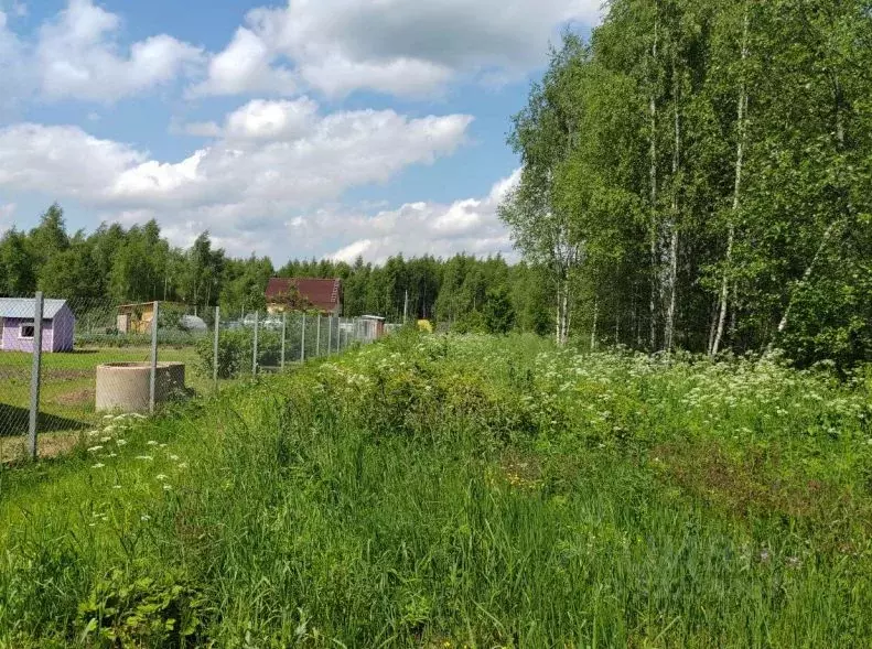 Участок в Московская область, Чехов муниципальный округ, д. Сенино  ... - Фото 2