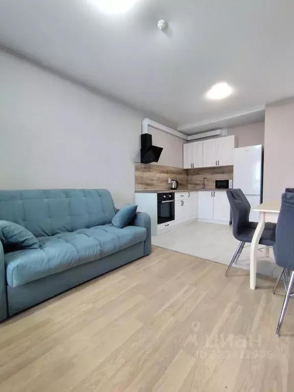 1-к кв. Санкт-Петербург Дальневосточный просп., 33к1 (36.3 м) - Фото 1