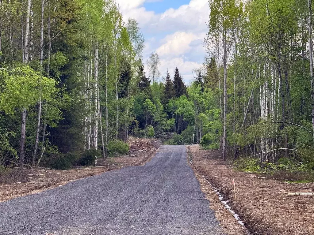 Участок в Московская область, Дмитровский муниципальный округ, ... - Фото 1