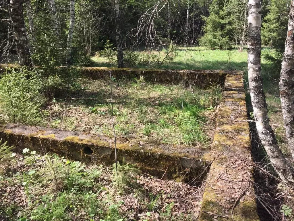 Участок в Московская область, Клин городской округ, д. Караваево 18 ... - Фото 1