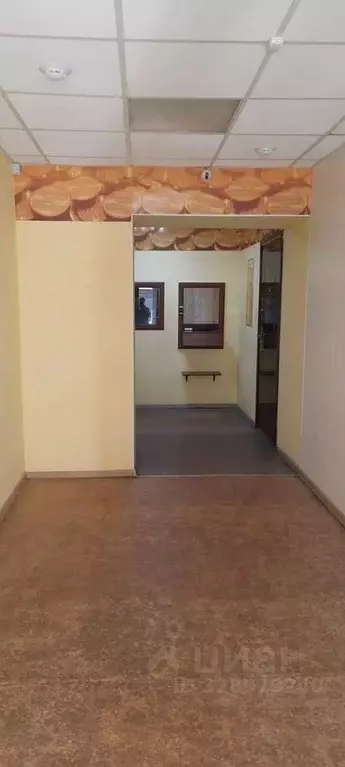 Помещение свободного назначения в Пермский край, Пермь ул. Плеханова, ... - Фото 1