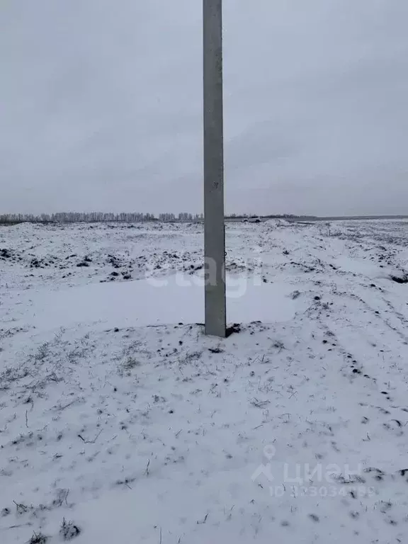 Участок в Белгородская область, Белгородский район, Головинское с/пос, ... - Фото 0