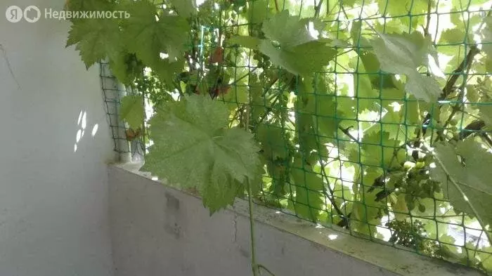 Дом в Евпатория, Тихий переулок, 12 (76.4 м) - Фото 1