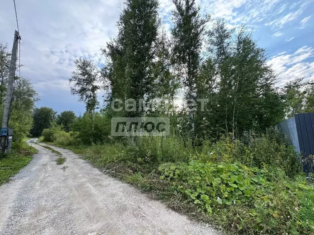 Участок в Тюменская область, Тюмень Зауралец СНТ, ул. Медиков (7.1 ... - Фото 2