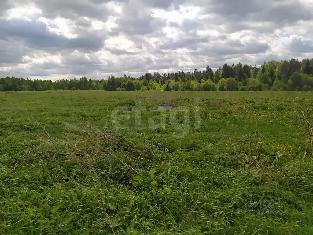Участок в Вологодская область, Лиана садоводческое товарищество  (6.0 ... - Фото 0