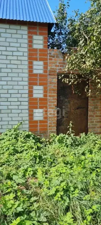 Дом в Белгородская область, Новооскольский городской округ, с. ... - Фото 1