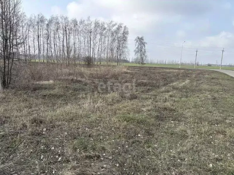 Участок в Белгородская область, Корочанский район, Погореловское ... - Фото 2