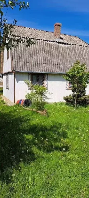 Дом в Калининградская область, Светлогорск Радуга СНТ, 6-я линия (54 ... - Фото 1