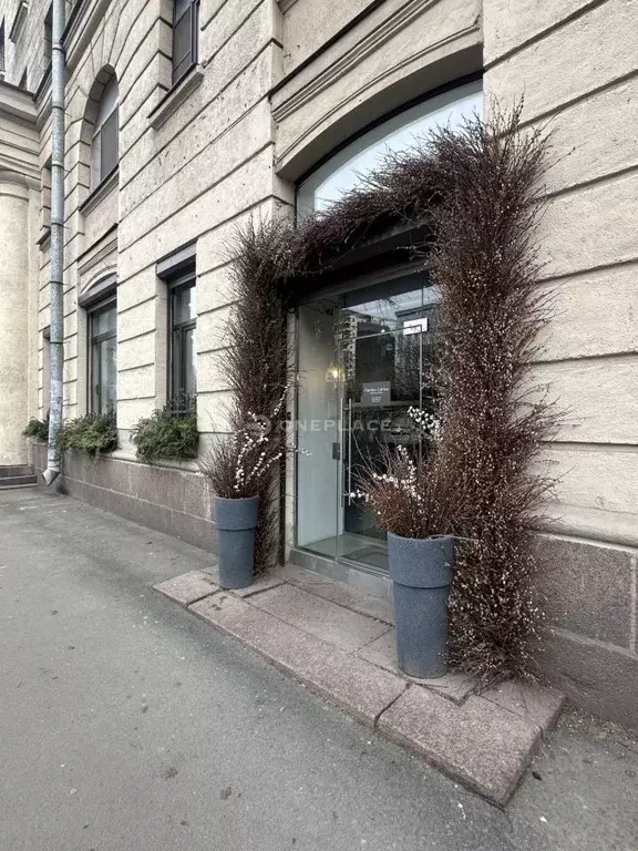 Помещение свободного назначения в Санкт-Петербург просп. Большой ... - Фото 0