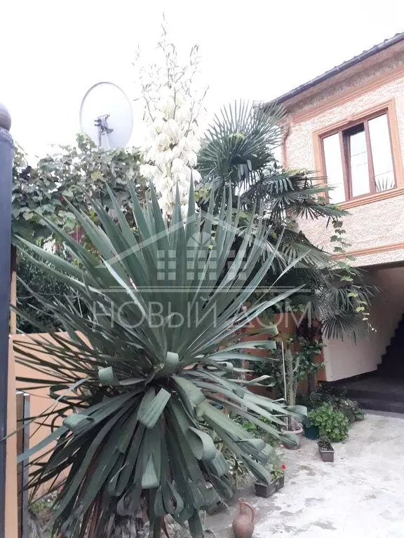 Дом в Нальчик, улица Мечиева, 60 (180 м) - Фото 1