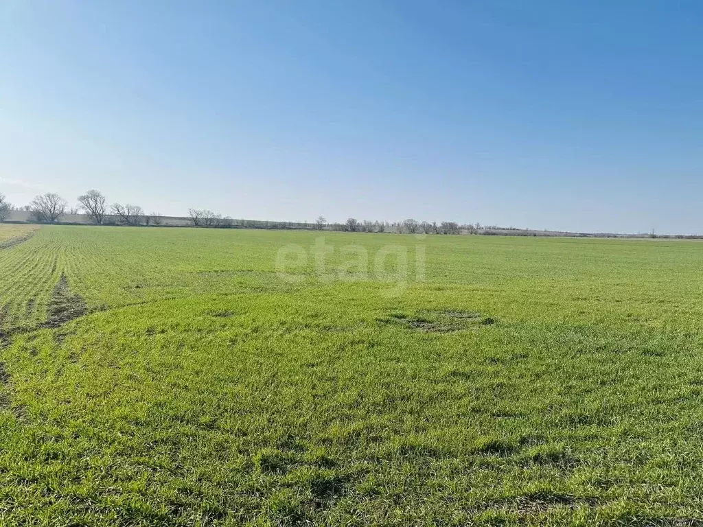 Участок в Крым, Симферопольский район, с. Донское  (150.89 сот.) - Фото 1