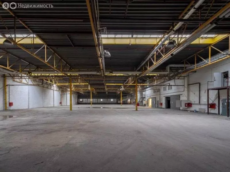 Помещение свободного назначения (1350 м) - Фото 2