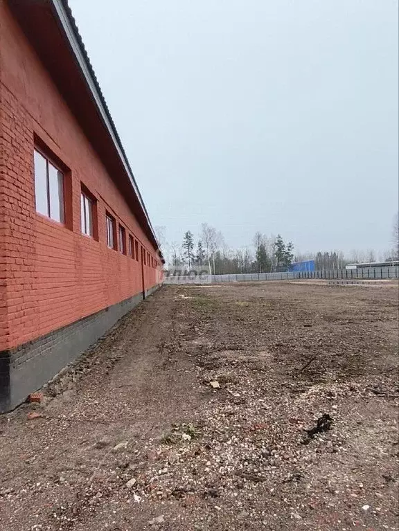 Производственное помещение в Московская область, Рошаль ул. Косякова ... - Фото 2