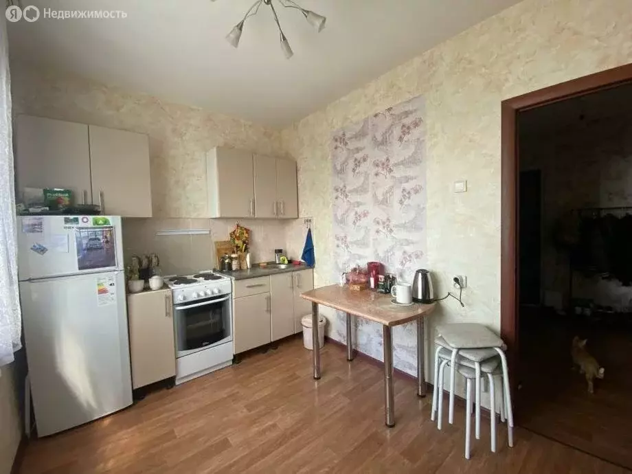1-комнатная квартира: Новосибирск, Спортивная улица, 11/1 (36.9 м) - Фото 1
