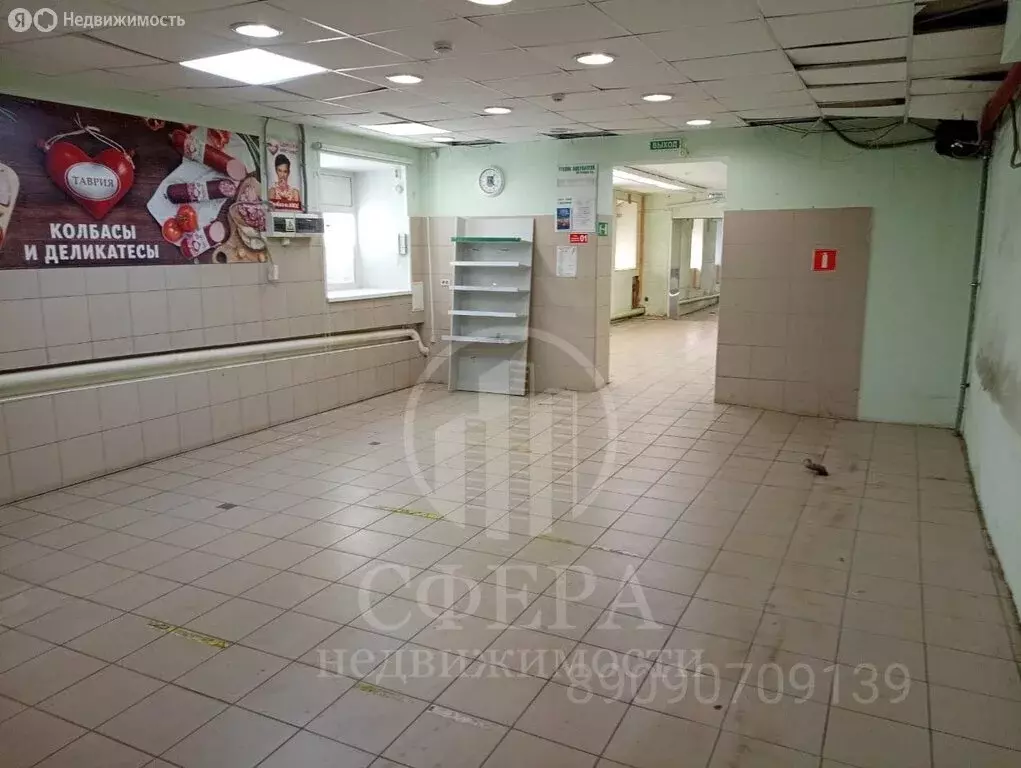 Помещение свободного назначения (253 м) - Фото 1
