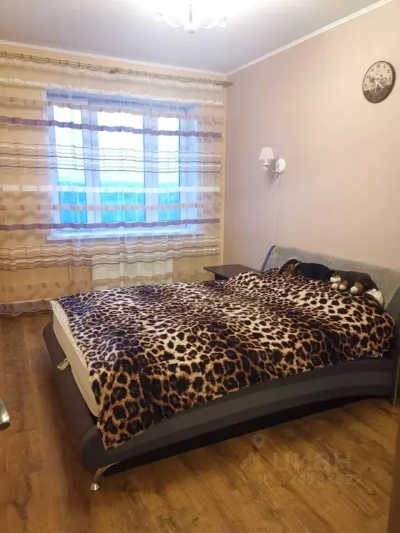 2-к кв. Московская область, Люберцы Зенино ЖК Самолет мкр, ул. ... - Фото 1