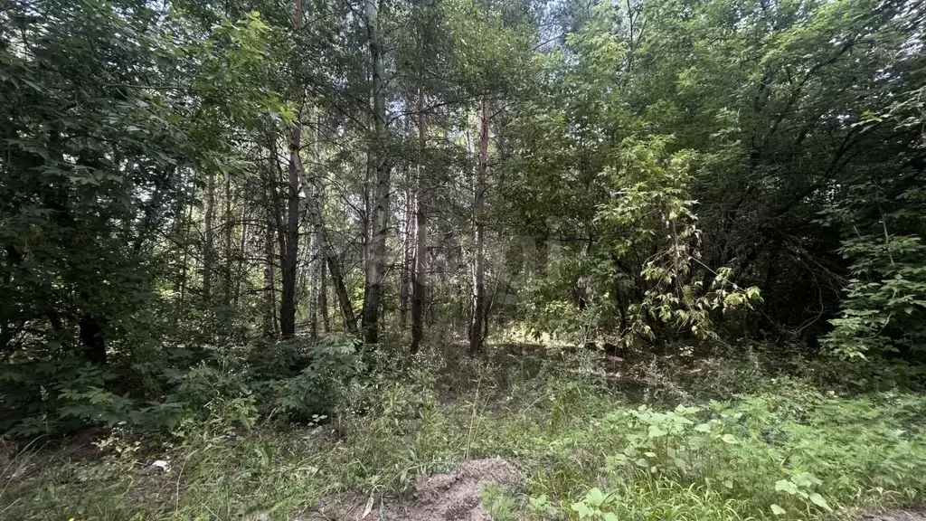 Участок в Воронежская область, Воронеж Большая Заячья Поляна кв-л,  ... - Фото 1