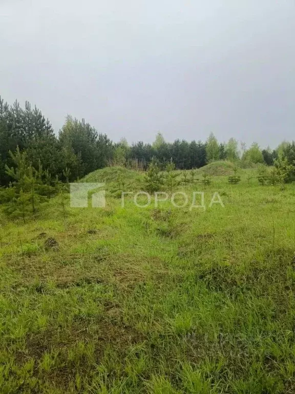 Участок в Кемеровская область, Ленинск-Кузнецкий ул. Осенняя (15.0 ... - Фото 1