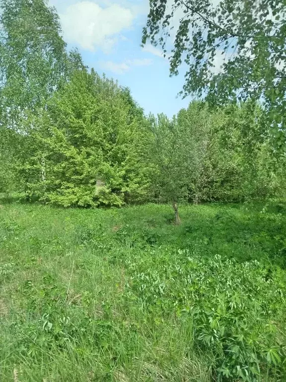 Участок в Нижегородская область, Дальнеконстантиновский муниципальный ... - Фото 1