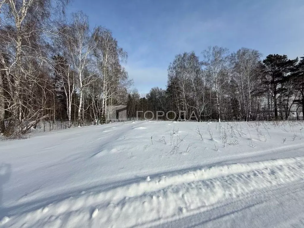 Участок в Алтайский край, Первомайский район, с. Фирсово ул. Кедровая ... - Фото 1