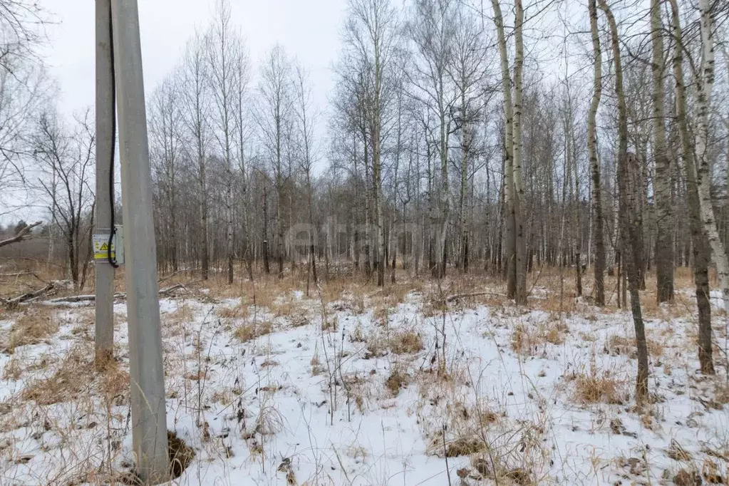 Участок в Тюменская область, Нижнетавдинский муниципальный округ, пос. ... - Фото 1