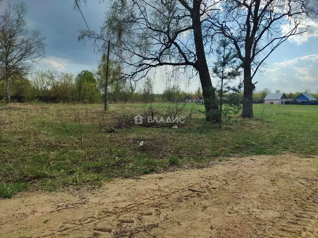 Участок в Владимирская область, Гороховецкий район, Денисовское ... - Фото 1