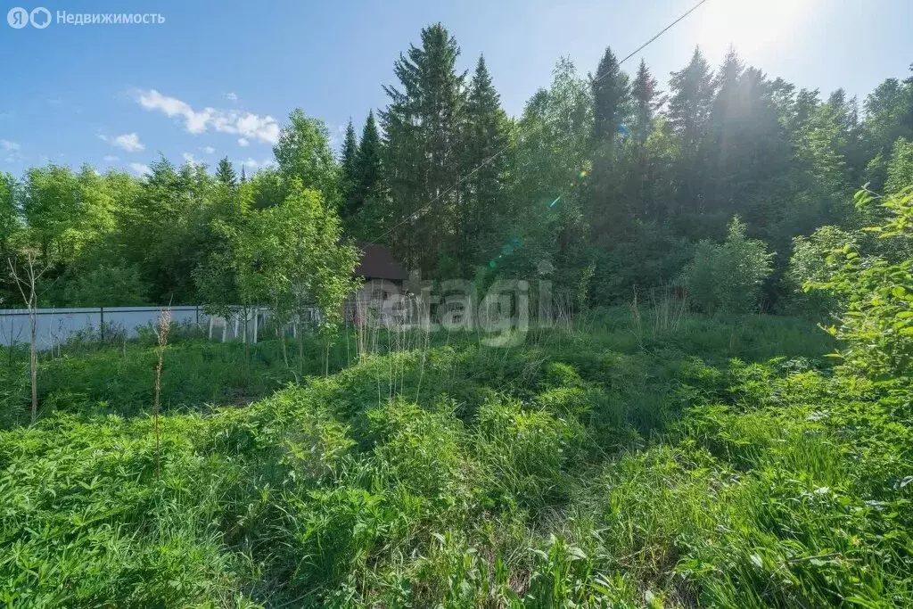 Дом в Пермский муниципальный округ, СНТ № 26 (22.5 м) - Фото 2