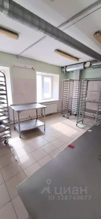 Производственное помещение в Пермский край, Пермь ул. Емельяна ... - Фото 1