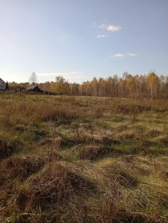 Участок в Алтайский край, Первомайский район, Бобровский сельсовет, ... - Фото 2