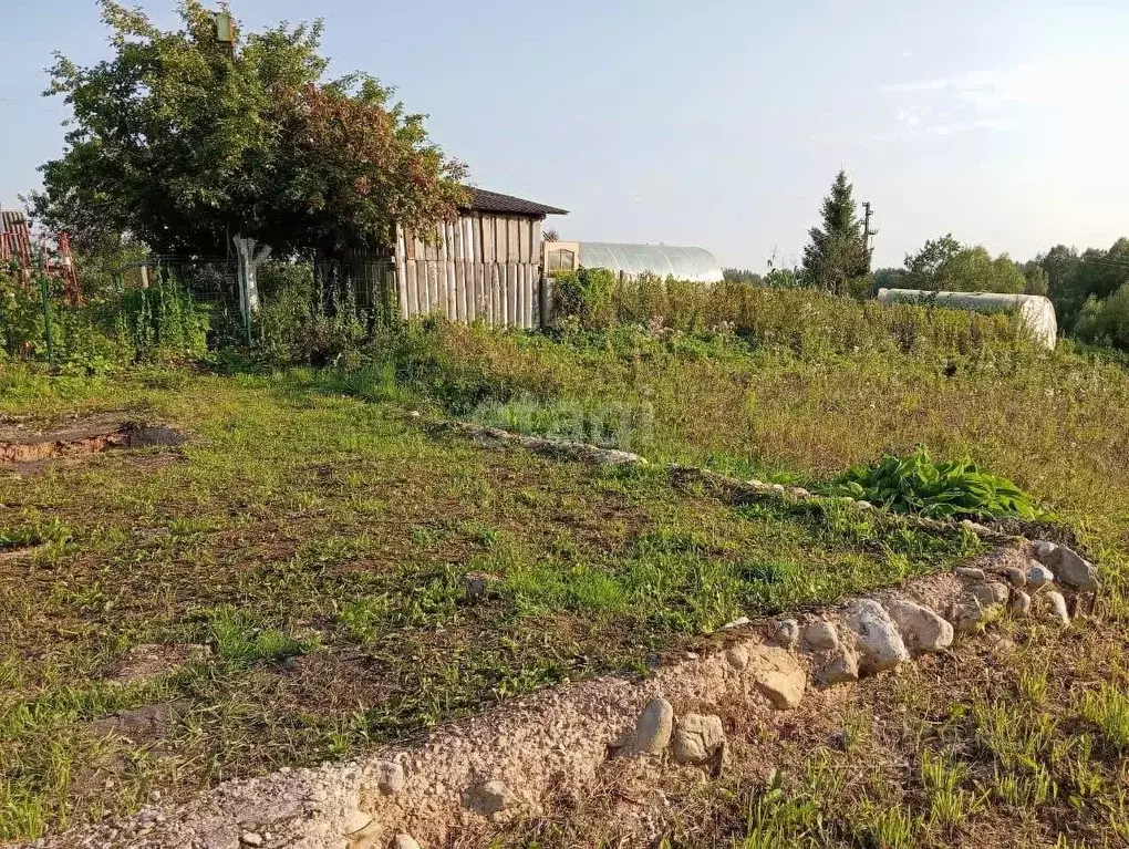 Участок в Новгородская область, Боровичский район, д. Егла Советская ... - Фото 0