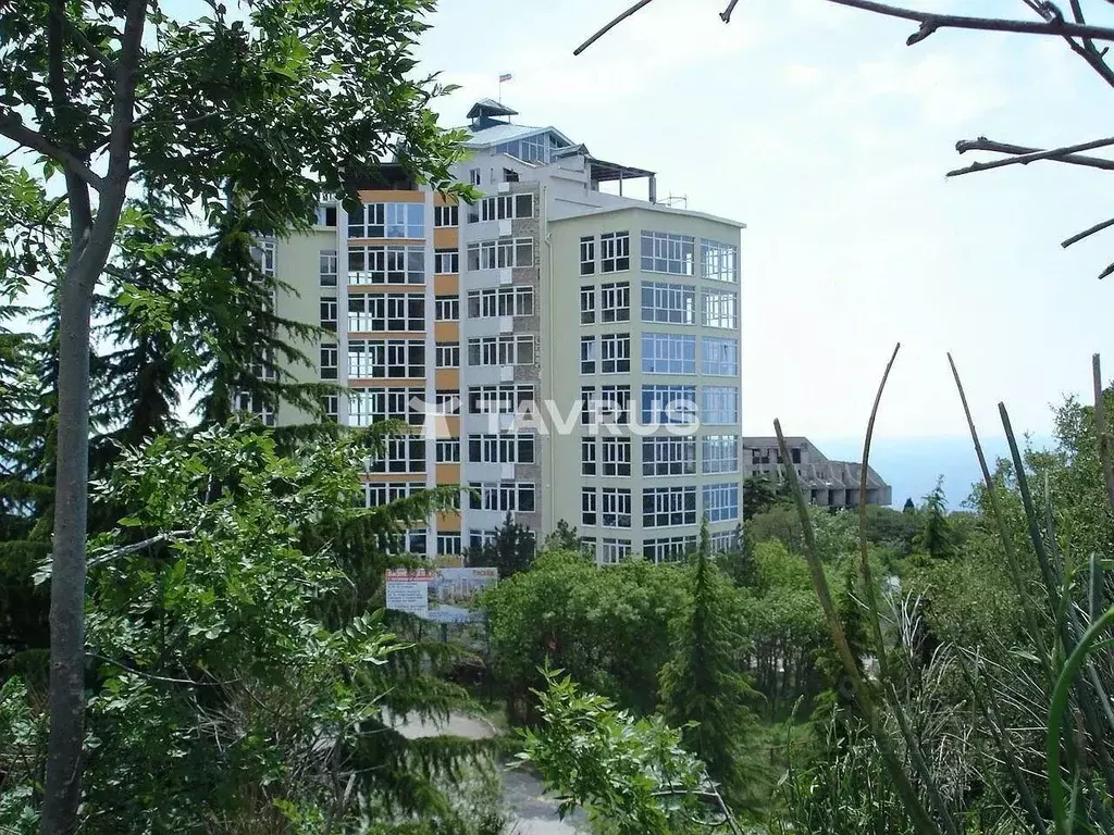 1-к кв. Крым, Ялта муниципальный округ, Восход пгт ул. Авроры, 110 ... - Фото 2