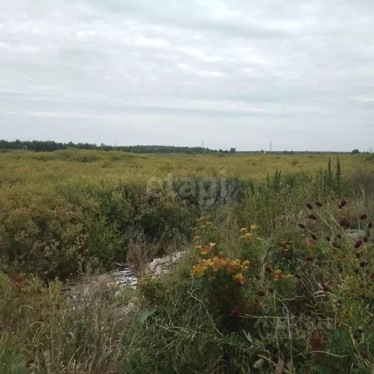 Участок в Тюменская область, Тюмень  (8.97 сот.) - Фото 1