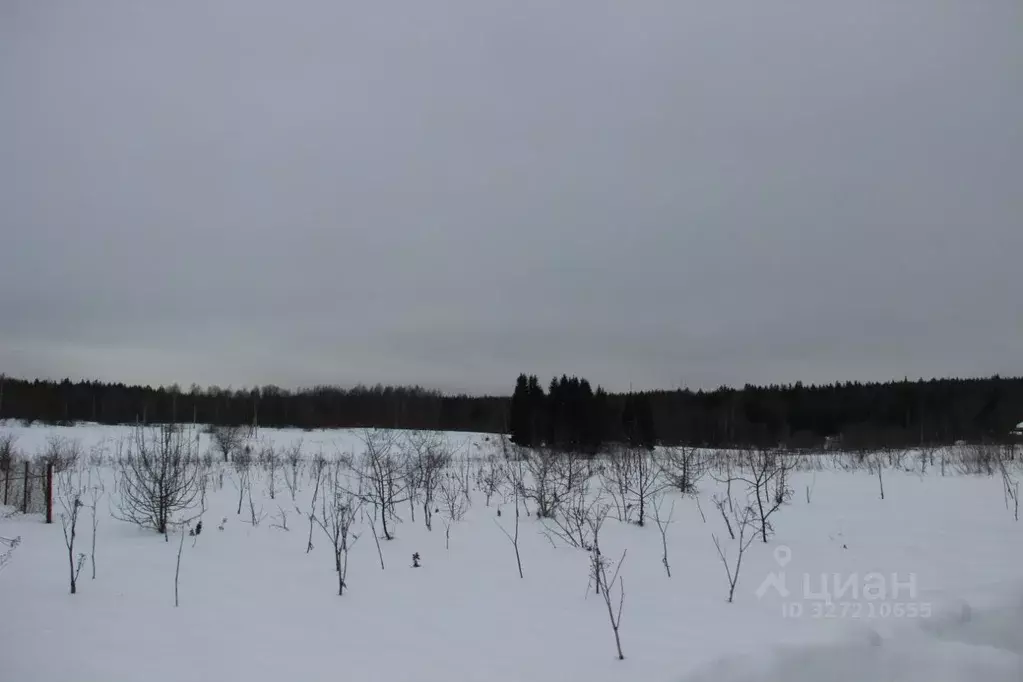 Участок в Московская область, Шаховская муниципальный округ, д. Косово ... - Фото 1
