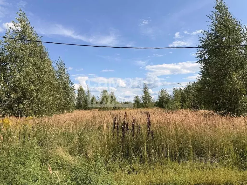 Участок в Марий Эл, Йошкар-Ола городской округ, д. Апшакбеляк ул. ... - Фото 2