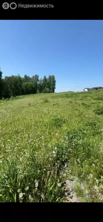 Участок в Гусиный Брод, микрорайон Идиллия (7 м) - Фото 0