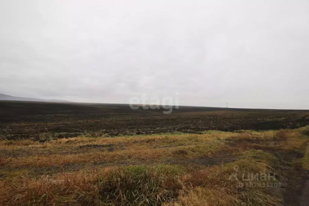 Участок в Красноярский край, Березовский район, Бархатовский ... - Фото 1