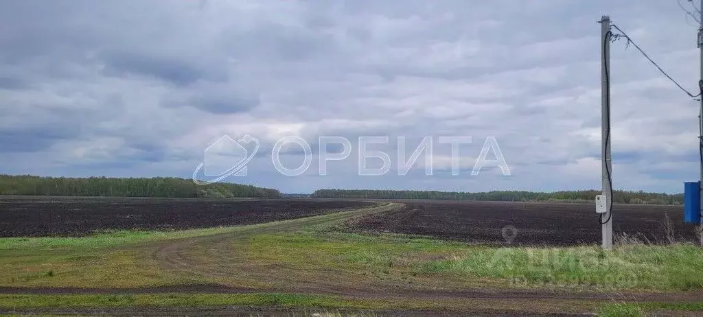 Участок в Тюменская область, Тюменский муниципальный округ, ... - Фото 1