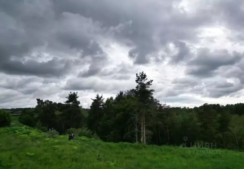 Участок в Ленинградская область, Выборгский район, Первомайское с/пос, ... - Фото 2
