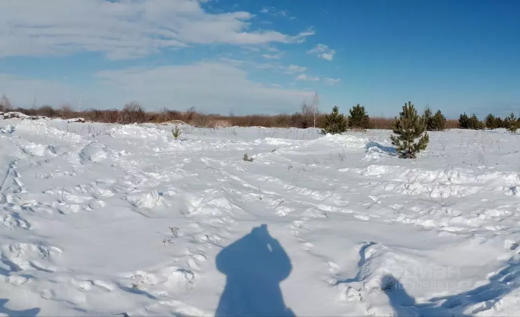 Участок в Тюменская область, Ялуторовск ул. Генерала Уварова (17.5 ... - Фото 1