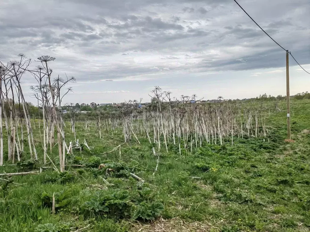 Участок в Коми, Сыктывдинский район, с. Выльгорт  (10.0 сот.) - Фото 2